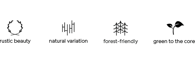 featureIcons