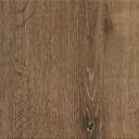 High Tide Elm