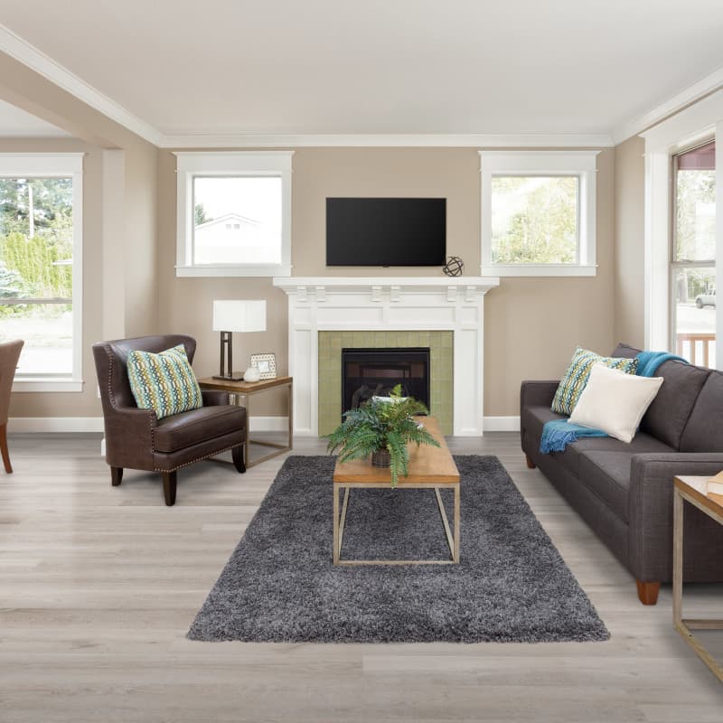 Sample - Gray Ash Select Premium Vinyl Plank Flooring-2