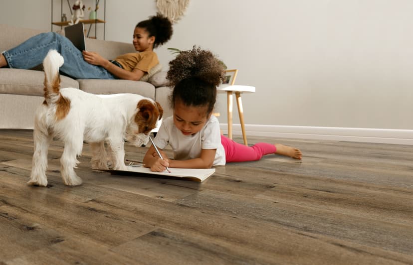 Pet-Friendly Floors That Handle Summer Heat and Messes