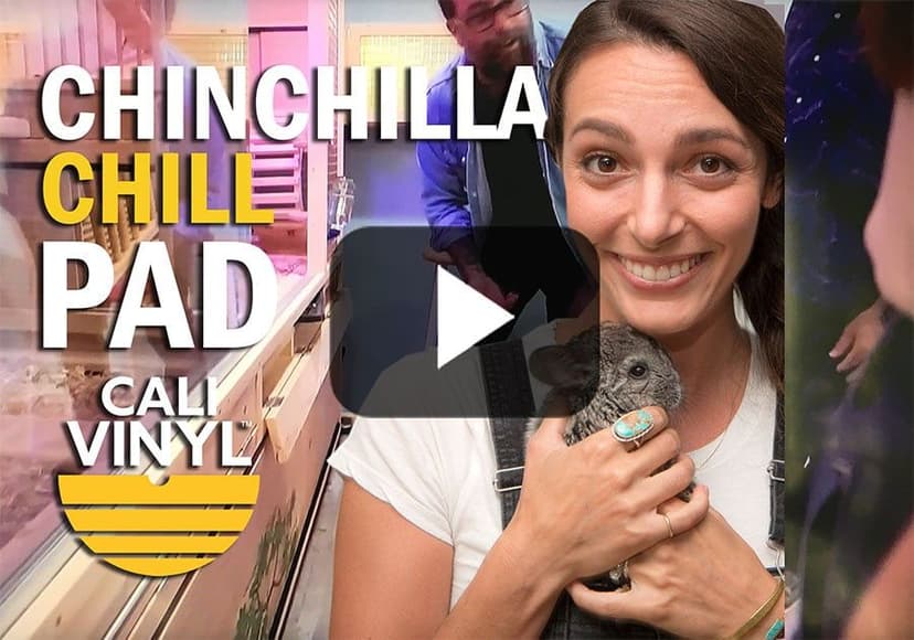 Animal Cribs Season 2 Episode 2 Chinchilla Cali Vinyl