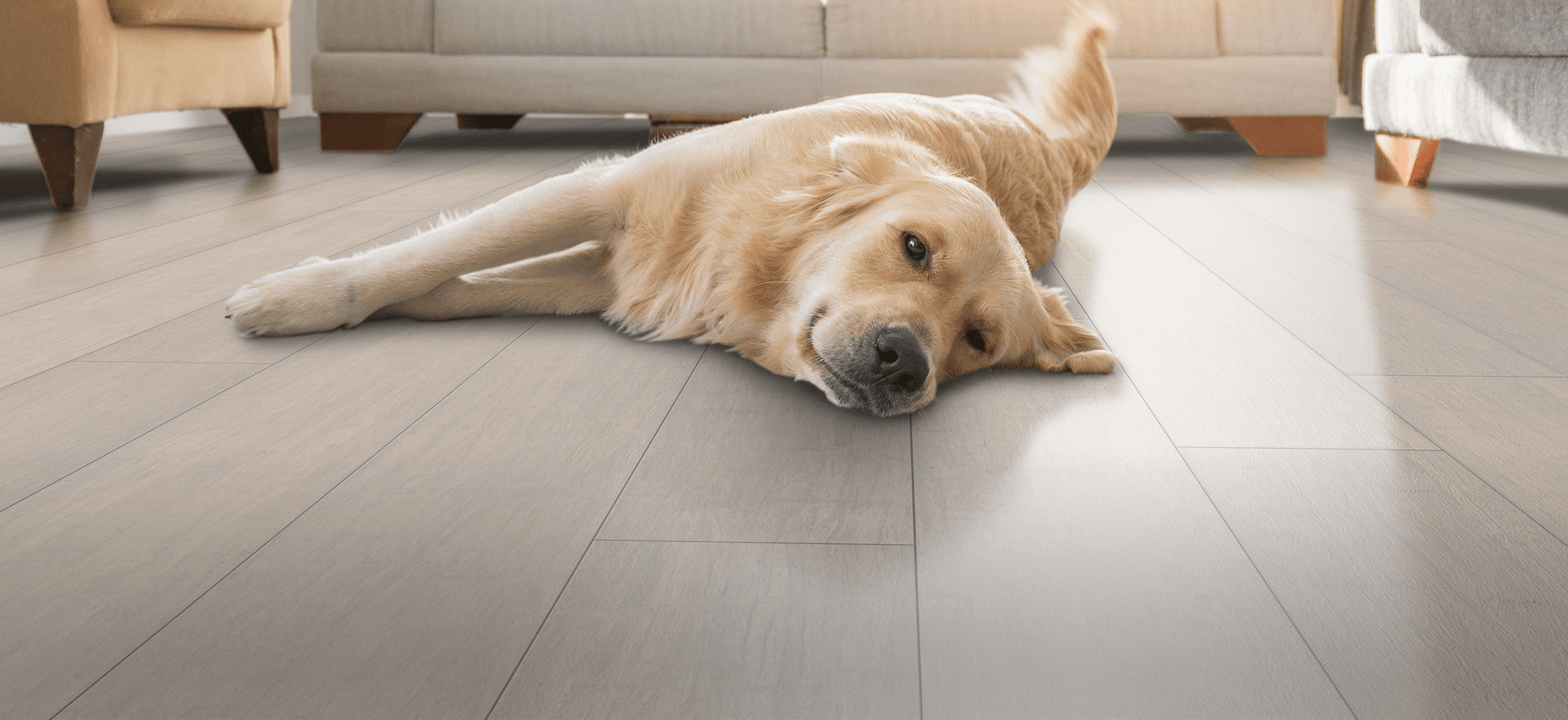 CALI Bamboo in Oyster Bay