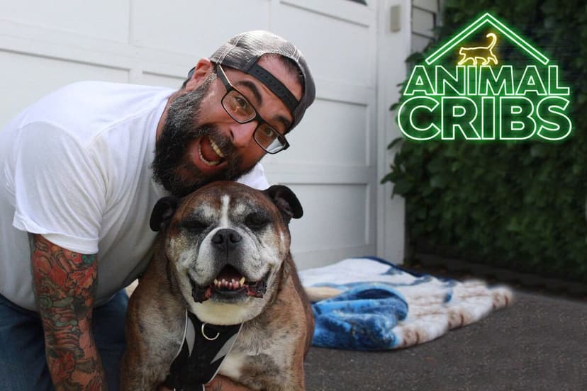 Animal Cribs Season 2 Episode 3 Mini Horse Barn