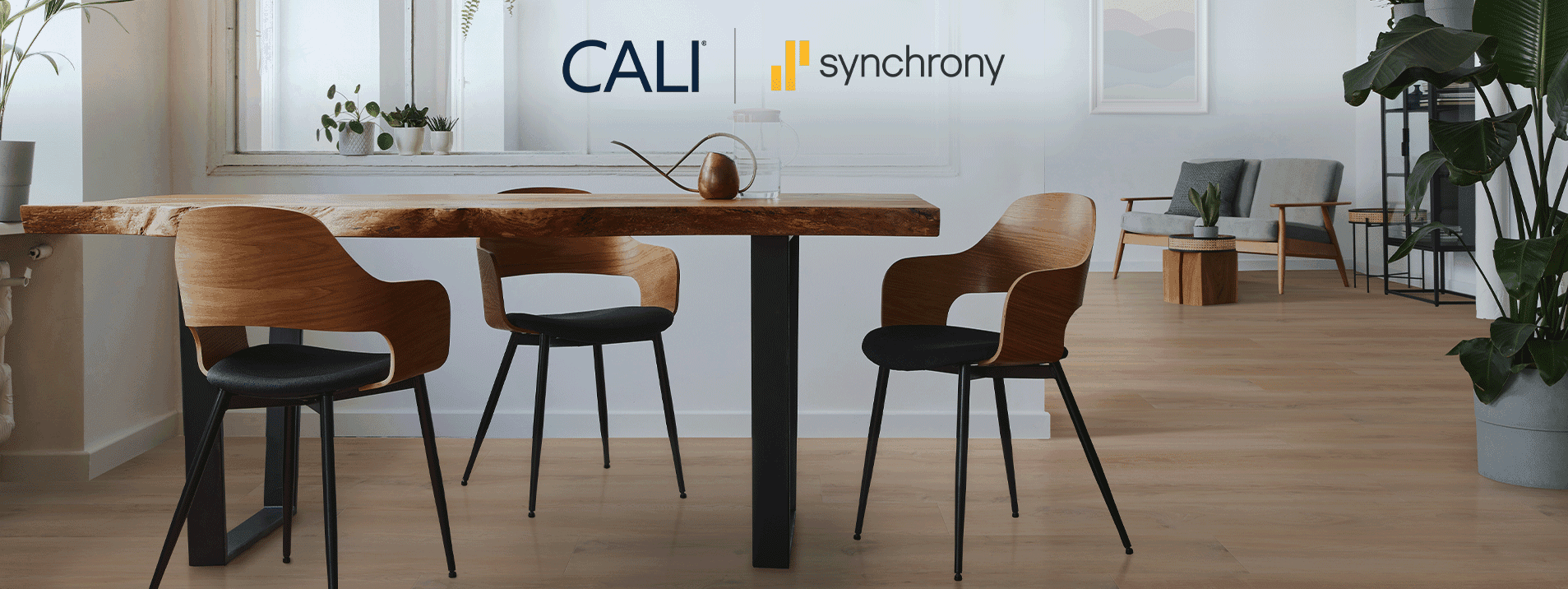 Synchrony Financing