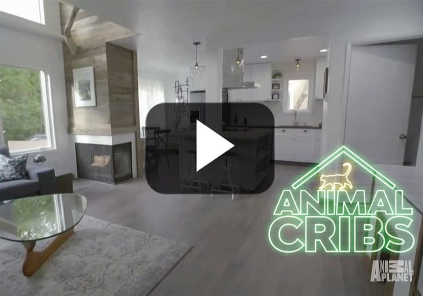 Animal Cribs Episode Bamboo Cat Condo