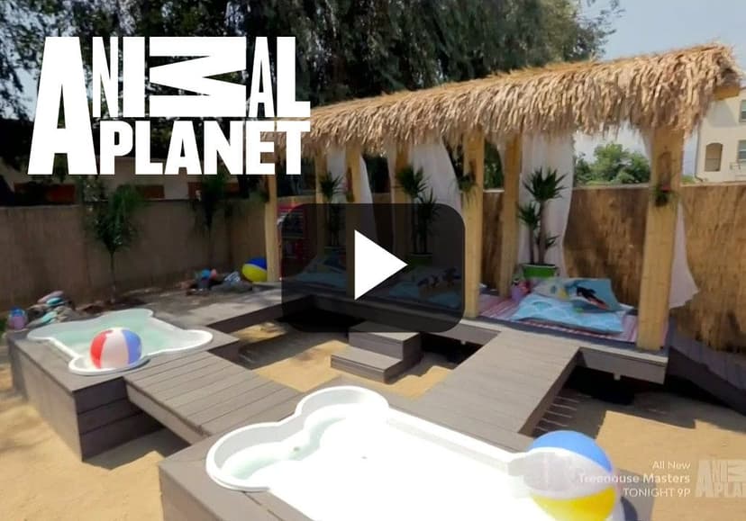 Pet Nation Renovation Builds Pet Paradise with Cali Bamboo
