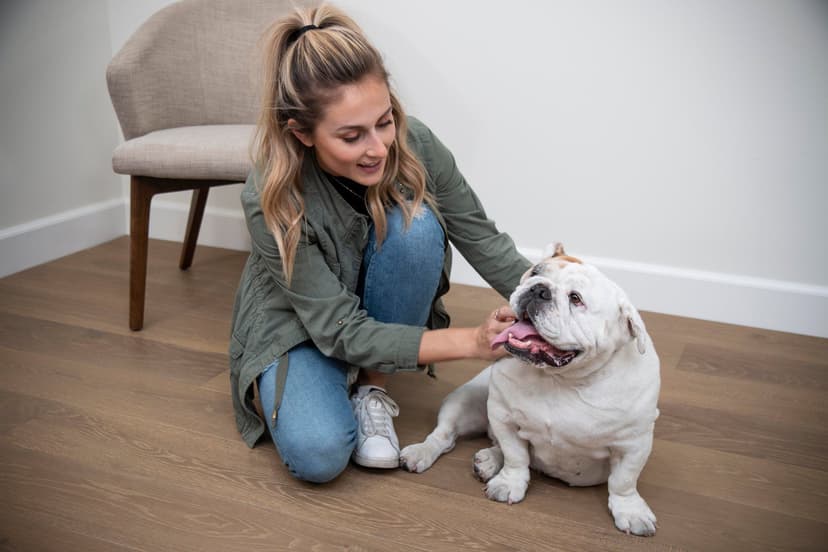 What It Means to Be FloorScore Certified | CALI