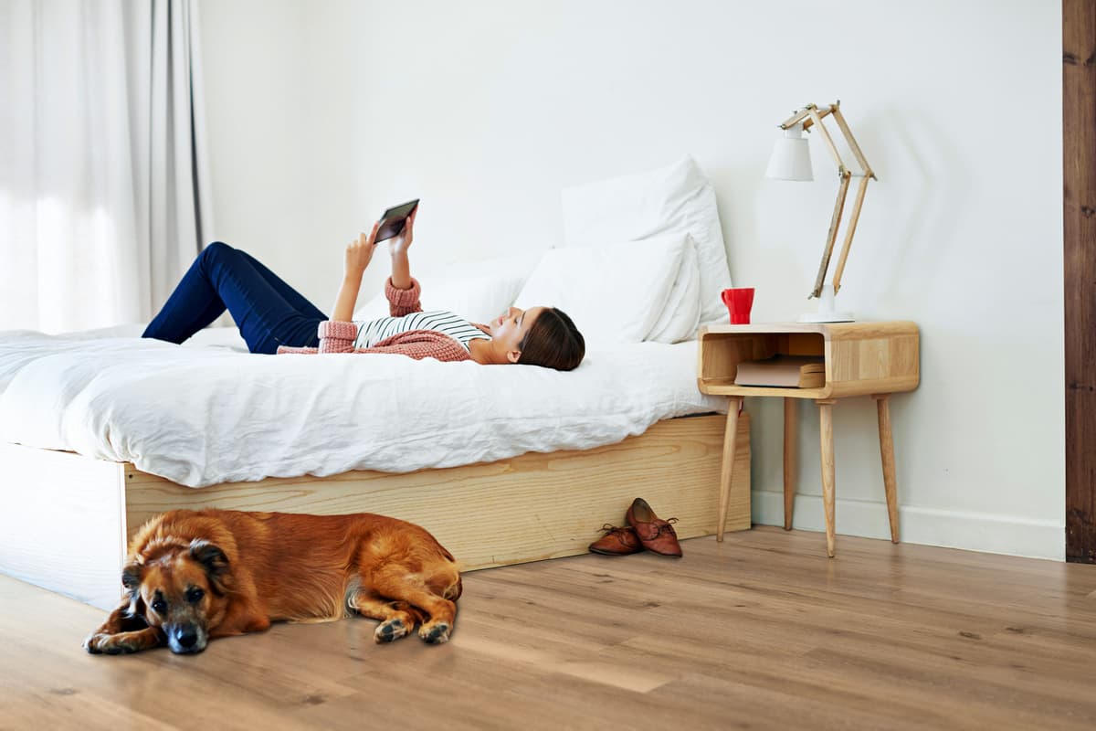 The Best Flooring for Pets: 4 Top Picks