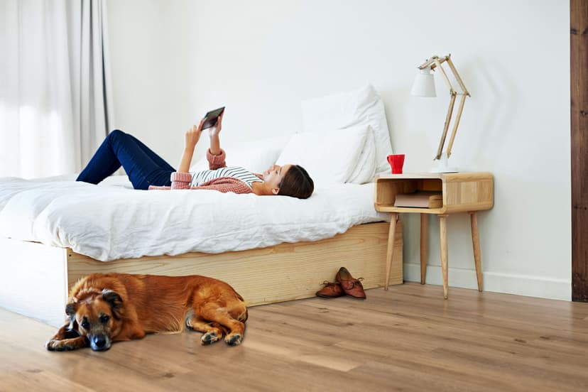 The Best Flooring for Pets: 4 Top Picks