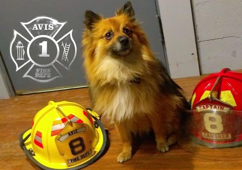 Cali Floors Fire Station
