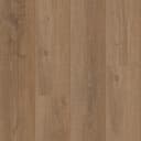Estuary Oak