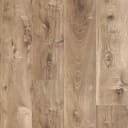 Seaboard Oak