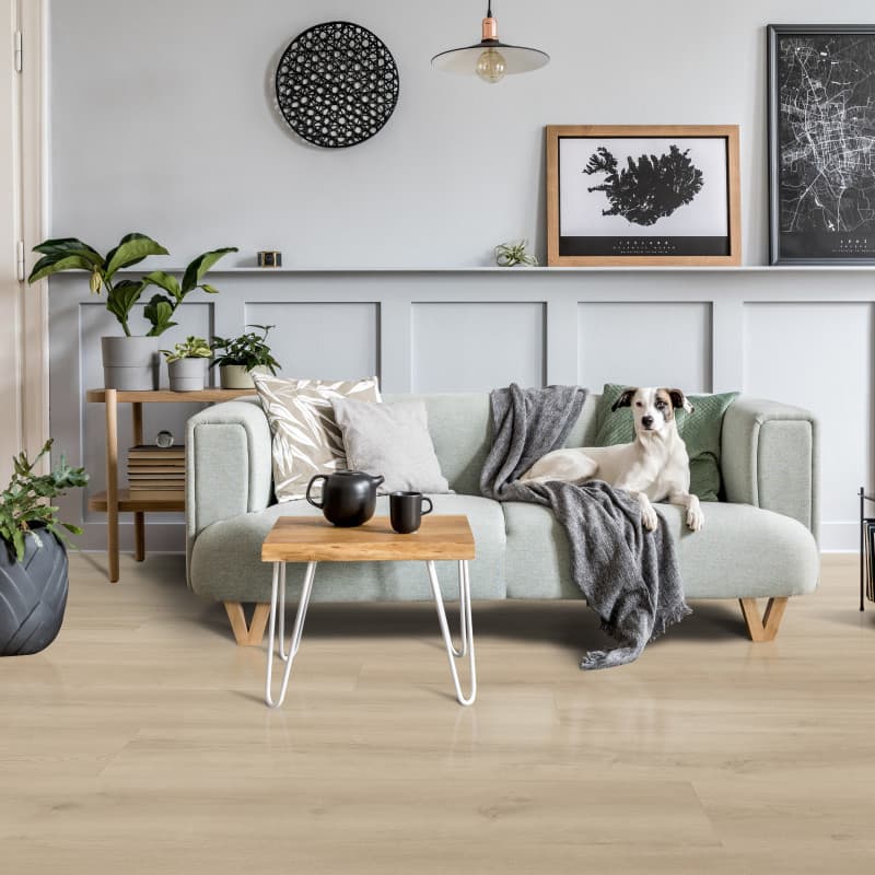 Coastline Cliff Longboards Vinyl Flooring (Angle-Angle)-1