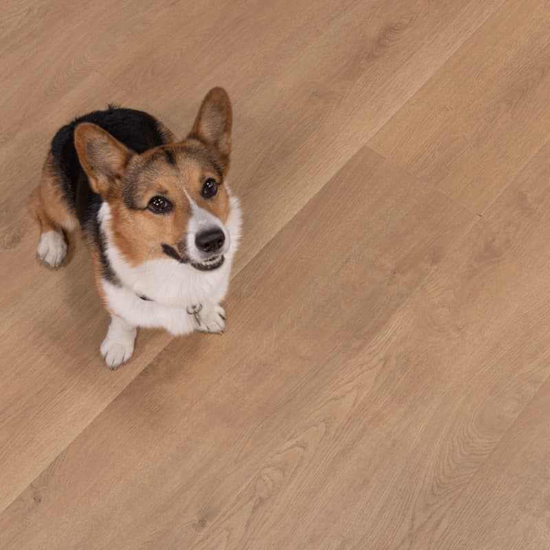Belmont Bluffs Santa Cruz Laminate Plank Flooring-2