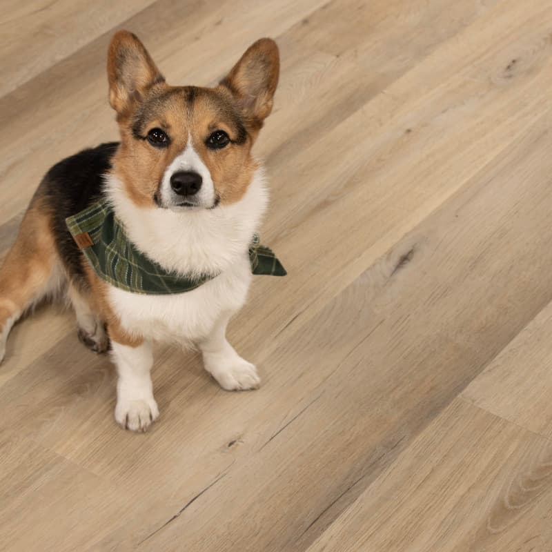 Malibu Swell Longboards Icons Vinyl Flooring-3