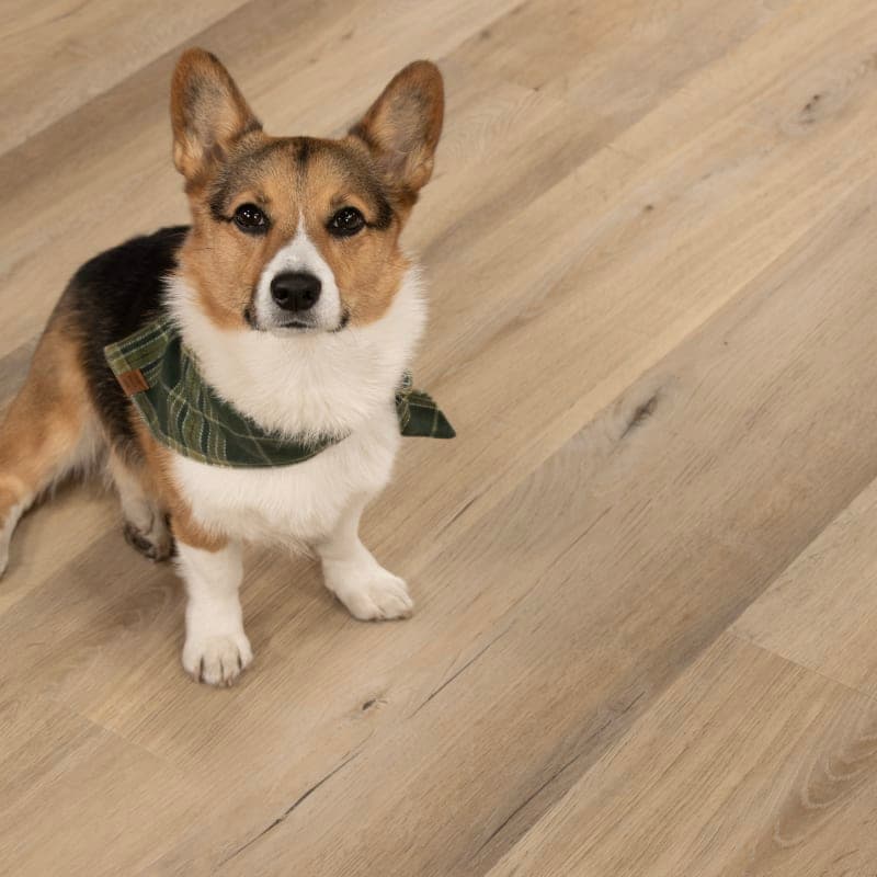 Malibu Swell Longboards Icons Vinyl Flooring-3