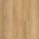 South Wind Oak