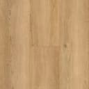 South Wind Oak
