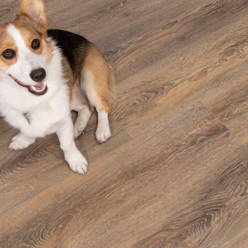 Dockwood Trestles Vinyl Plank Flooring-2