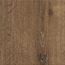 High Tide Elm