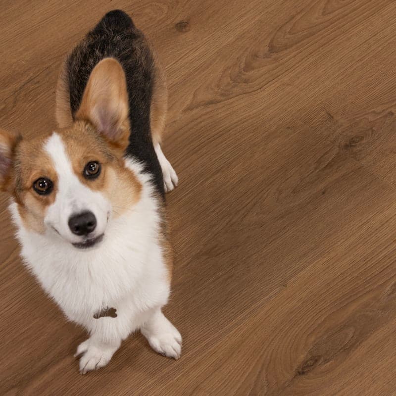 Montara Oak Mavericks Laminate Flooring-2