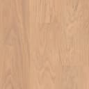 Sycamore Buff