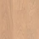Sycamore Buff