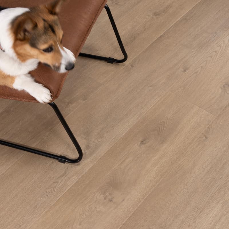 Del Mar Drift Santa Cruz Laminate Plank Flooring-2