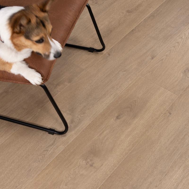 Del Mar Drift Santa Cruz Laminate Plank Flooring-2