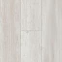 Saltwater Oak