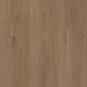 Sandalwood Surge