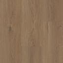 Sandalwood Surge