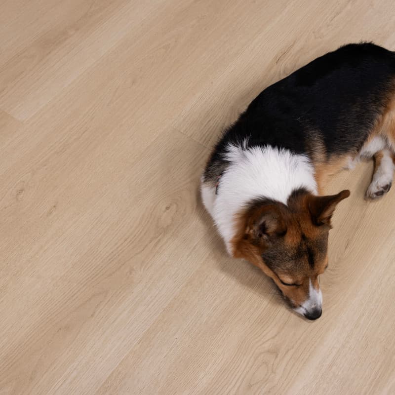 Rockaway Oak Santa Cruz Laminate Plank Flooring-1