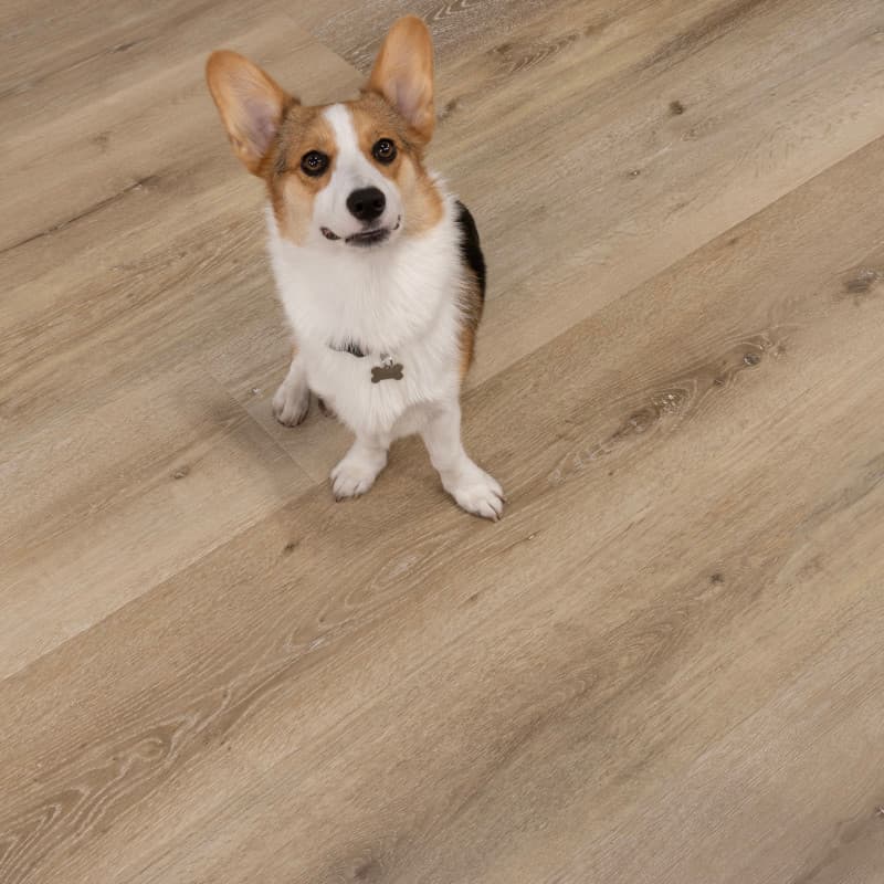 Aged Hickory Santa Cruz Laminate Plank Flooring-2