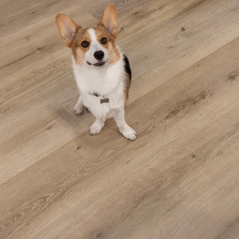 Aged Hickory Santa Cruz Laminate Plank Flooring-2