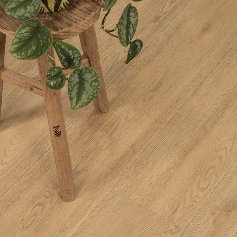 Cypress Preserve Laguna Vinyl Flooring-3