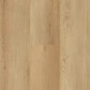 Sandbar Oak
