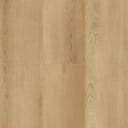 Sandbar Oak