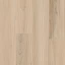 Timber Beach