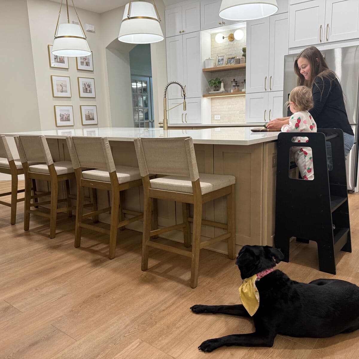 Catamaran - Legends - Alex Campolo - Diybydna