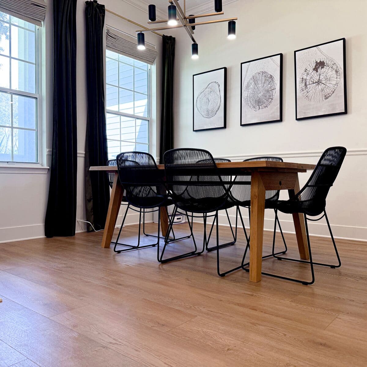 Catamaran - Legends - Alex Campolo - Diybydna 18